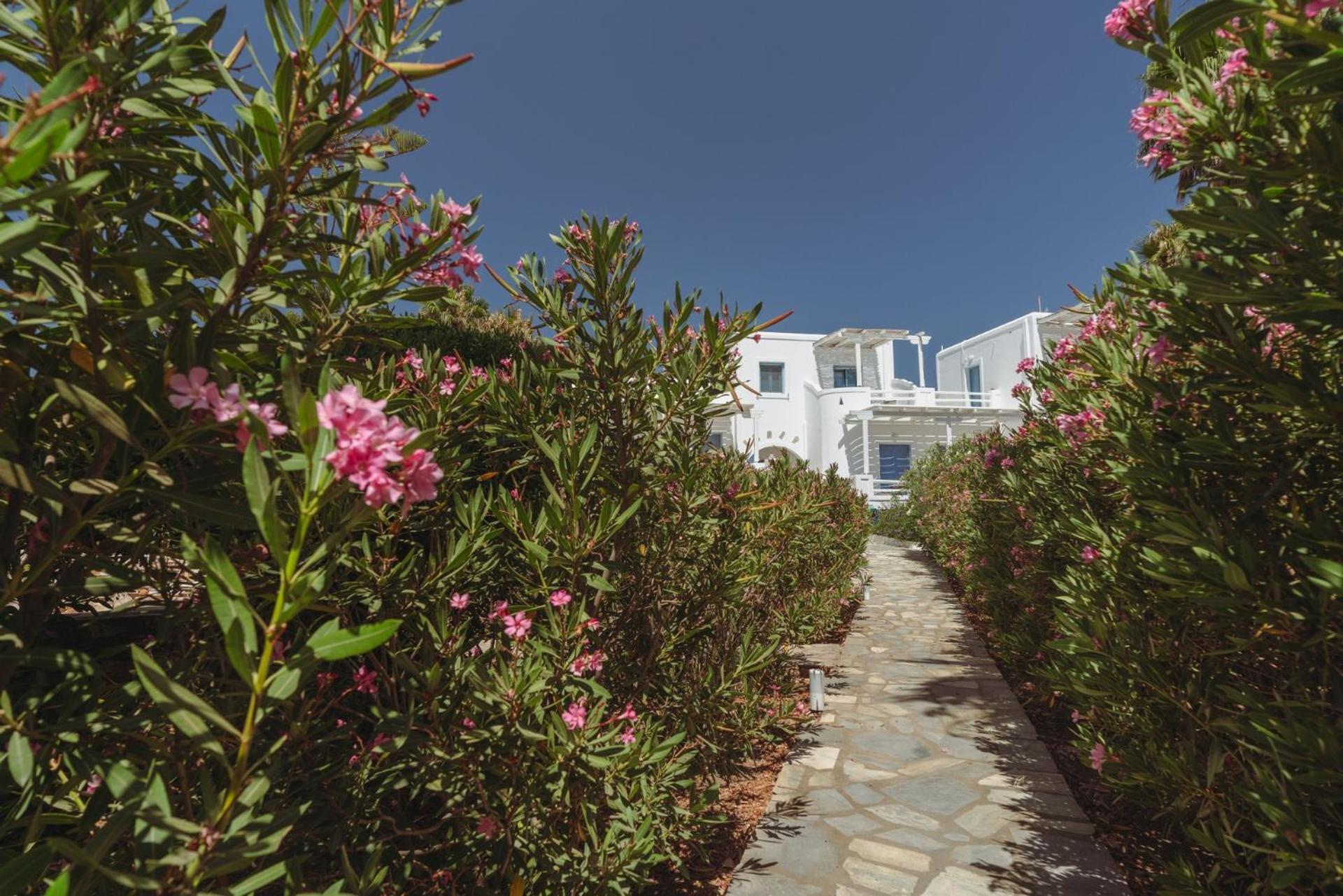 Palm Heaven Boutique Apartments Antiparos Екстер'єр фото